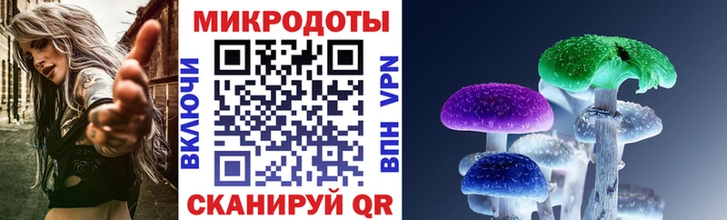 shop телеграм  Альметьевск  omg онион  Псилоцибиновые грибы ЛСД  закладка 
